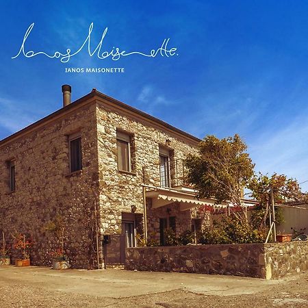 Ianos Maisonette Paralia Sergoulas エクステリア 写真