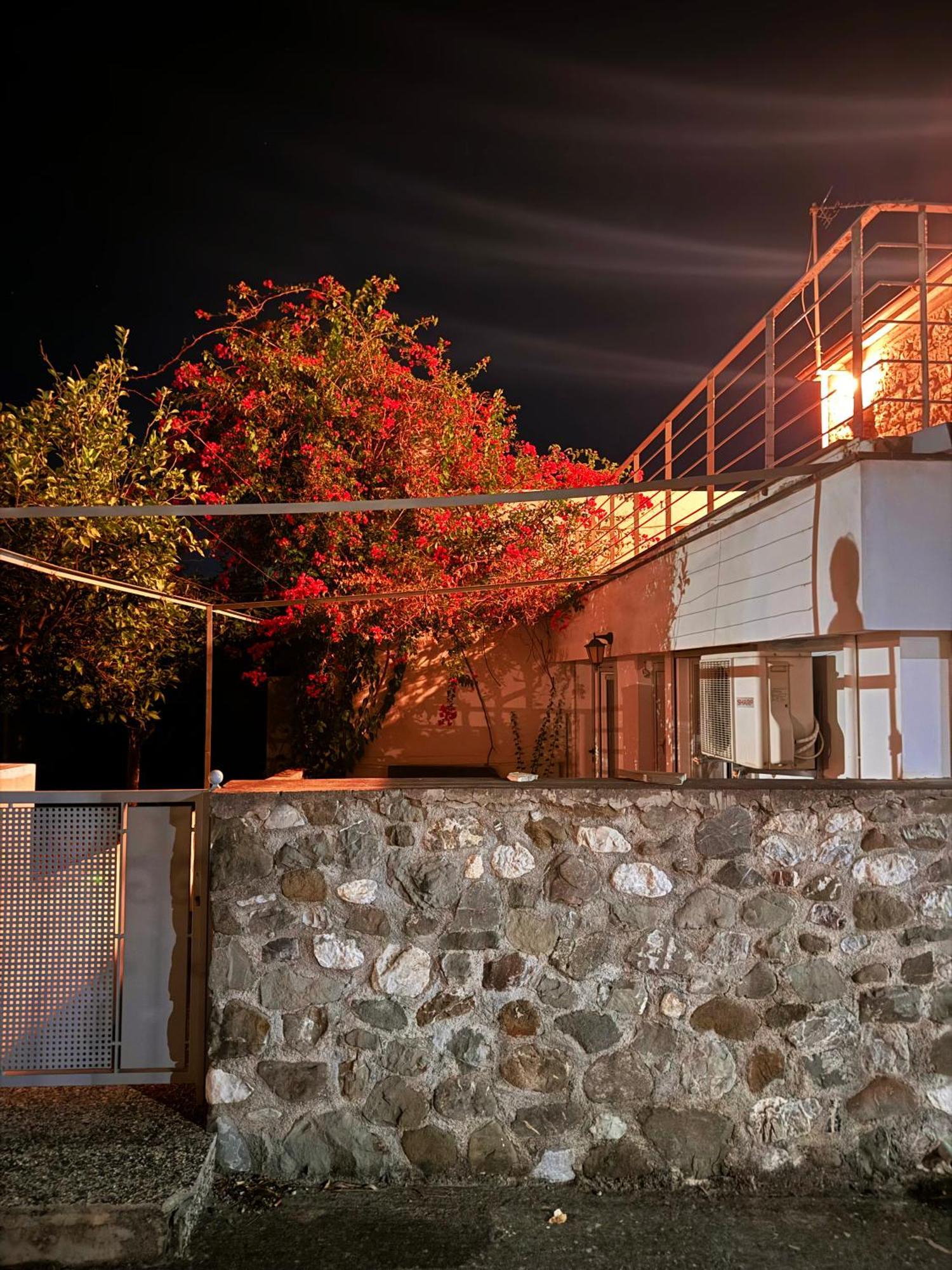 Ianos Maisonette Paralia Sergoulas エクステリア 写真